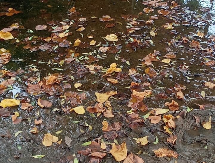 சிட்டிசன் திரைப்பட அத்திப்பட்டி போல ஆதரவின்றி நிற்கும் அப்பாவி கிராம மக்கள் – மின் வசதியும் இல்லை காவிரி குடிநீரும் இல்லை – சொந்த மாநிலத்திலேயே அகதிகளாக வாழும் அவலம்