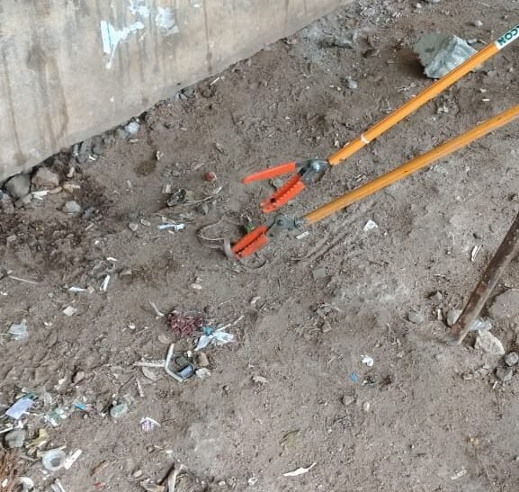 பேருந்து நிறுத்தத்தில் நுழைந்த பாம்பு – அலறி ஓடிய மக்கள்